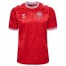 Prima Maglia Danimarca Euro 2024